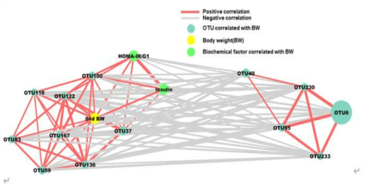 비만과 혈액생화학적 요인, OTU간의 네트워크 분석