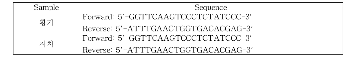 황기, 지치의 primer sequences