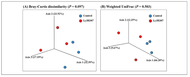 재조합 endolysin LyJH307 첨가에 따른 Beta diversity의 변화 (A) Bray-Curtis dissimilarity (B) Weighted UniFrac distance
