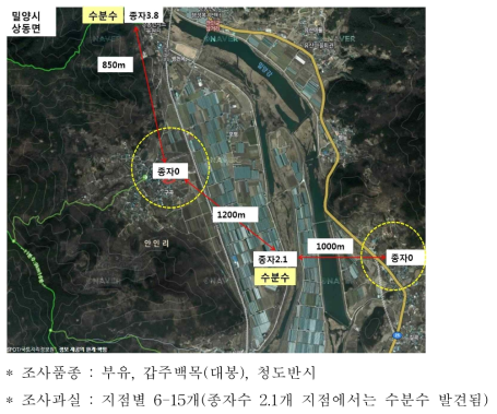 수분수와 거리에 따른 종자 형성 정도