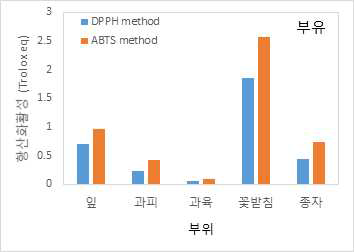 부유 부위별 항산화 활성의 차이