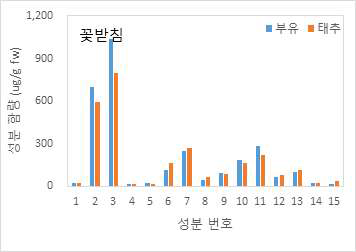 부유 및태추꽃받침의항산화성분함량