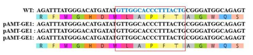pAMT를 목표로 하는 유전자편집 개체 서열 분석 결과. 붉은색으로 표시된 서열은 유전자편집시 sgRNA가 결합하는 목표 서열