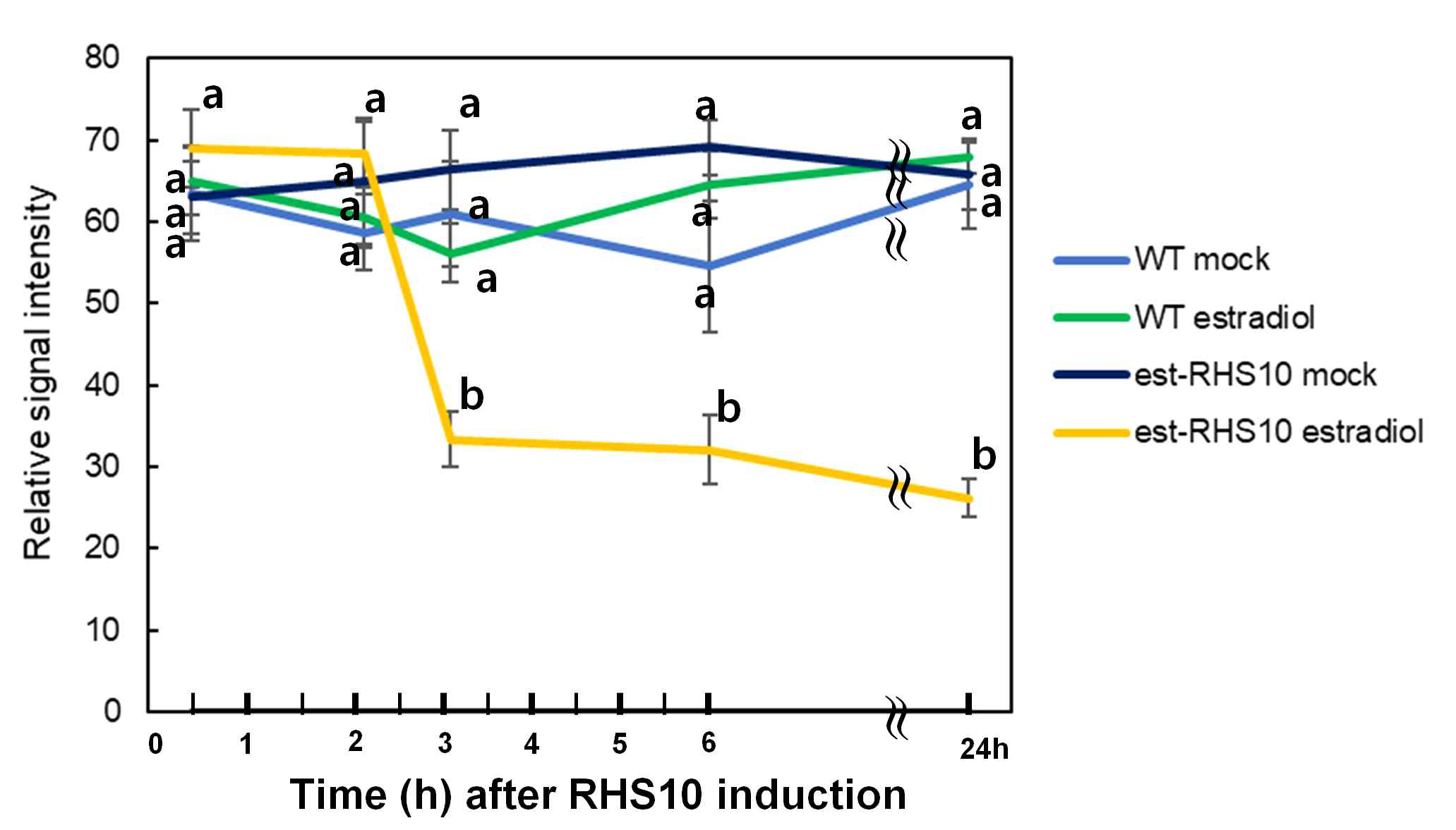 RHS10 과발현체에서의 ROS 형성
