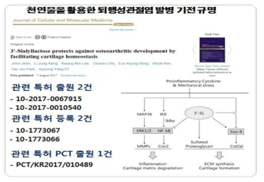 천연물을 활용한 퇴행성관절염 발병 기전 규명