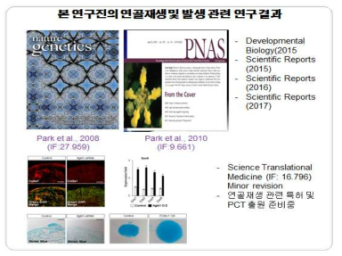 연골재생 및 발생관련 연구 결과