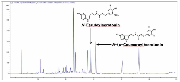 잇꽃씨 지표성분의 HPLC 패턴