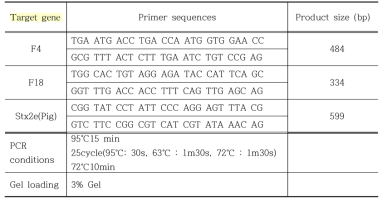 Stx2e+ F4+ 대장균, Stx2e+ F18+ 대장균 선별을 위한 primer set