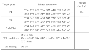 Stx2e+ F4+ 대장균, Stx2e+ F18+ 대장균 선별을 위한 primer set