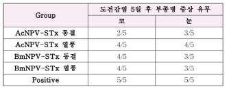 경구용 재조합 톡소이드 부종병 방어 효능