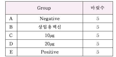 신개념 사균체 및 재조합 톡소이드 혼합 백신 근육 접종 실험군