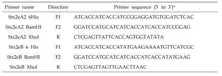 Stx2eA2 및 B에 대한 BmNPV 전이벡터 제작을 위한 PCR 프라이머