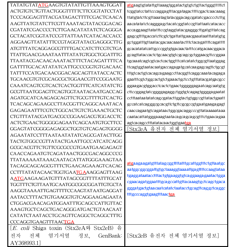 돼지 부종병에 대한 항원 유전자 shiga toxin (Stx2eB) 전체 cDNA 및 CDS 염기서열