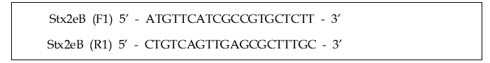 Stx2eB 유전자가 도입된 재조합 baculovirus의 역가 확인을 위한 PCR primer 염기서열 정보