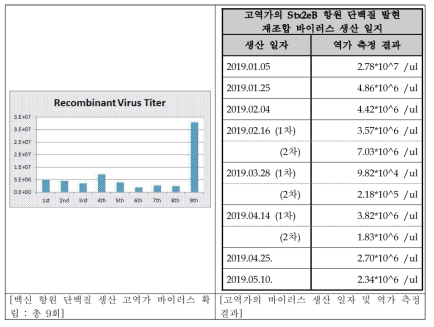 고역가의 바이러스 생산현황