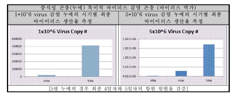 누에 생체 감염 바이러스의 역가 및 항원 발현율 조건 확립