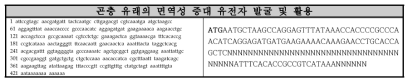 곤충 유래의 면역성 증대 유전자 후보