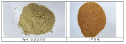 누에 동결건조물 및 부형제 결과물