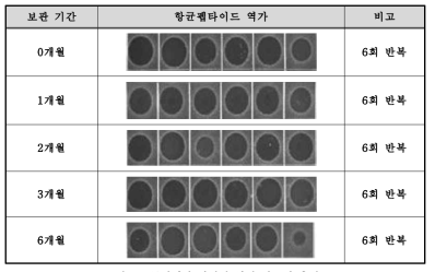 주형제의 안정성 확인 항균력 측정