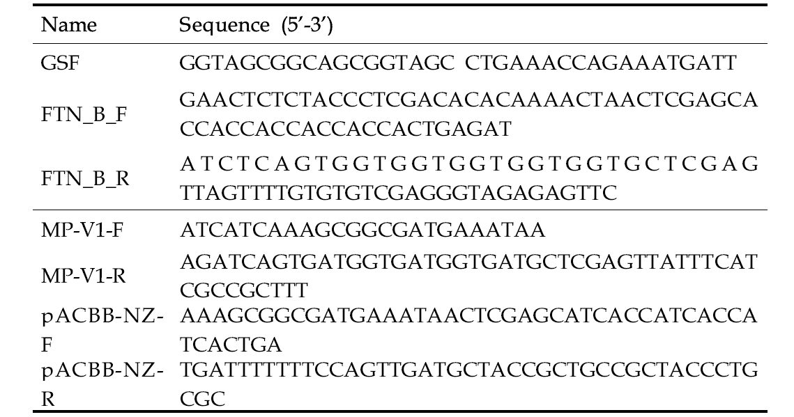 MP-V1과 FTN 생합성 연구에 사용된 프라이머 목록