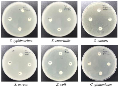 항균펩타이드 DF8의 항균력 평가. 4종의 축산 병원균과 E. coli, C. glutamicum 각 균주가 도말된 고체 배지에 paper disk를 올리고 항균 펩타이드를 농도별로 얹어 항균력 평가를 수행함