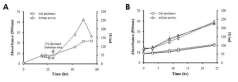 Asparaginase 생산 최적화 배양 조건 탐색. 분비 생산된 asparaginase의 최적 품질을 유도하기 위하여 최적 배양 조건을 탐색함 (A) 생장 곡선 (B) 시간별 생산된 asparaginse의 활성 평가