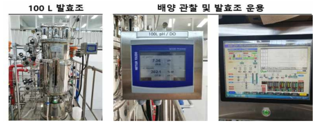 연구에 사용된 100L 발효조. Piolot scale 대량 배양 공정으로 100L 발효조를 이용하여 지능형 유전자 회로가 도입된 항균 펩타이드 생산 균주를 배양함