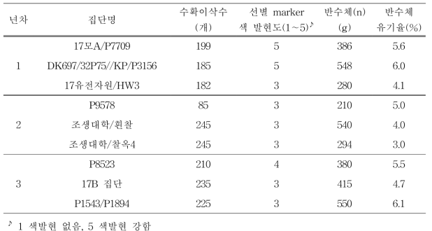 활용 집단의 반수체 종자량 및 반수체 유기율