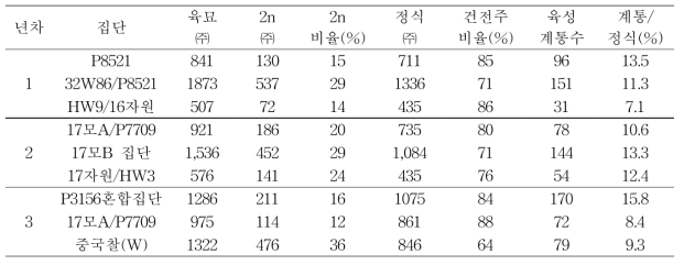 염색체 배가 처리 후 정식기 건전주 비율 및 육성 계통수