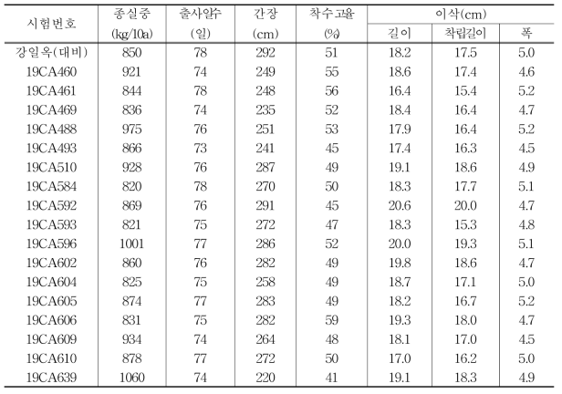 2019년 배가 반수체 육성 계통을 활용한 교잡종의 조합능력평가 주요 선발 교잡종