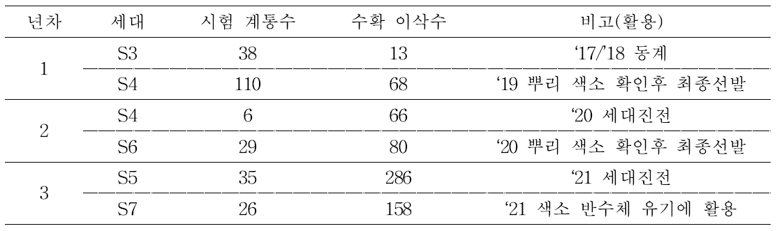 색소옥수수 유기체 개발을 위한 분리계통 세대진전