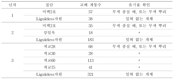 반수체 유기율 우수 계통 선발을 위한 교배 내역