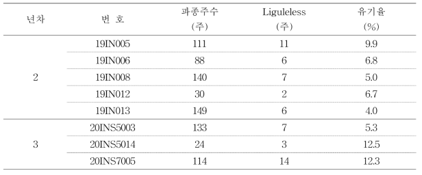 Liguleless x 색소유기체 육성계통 F1 종자의 유기율 검정