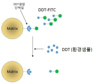 DDT측정을 위한 가시화 방법