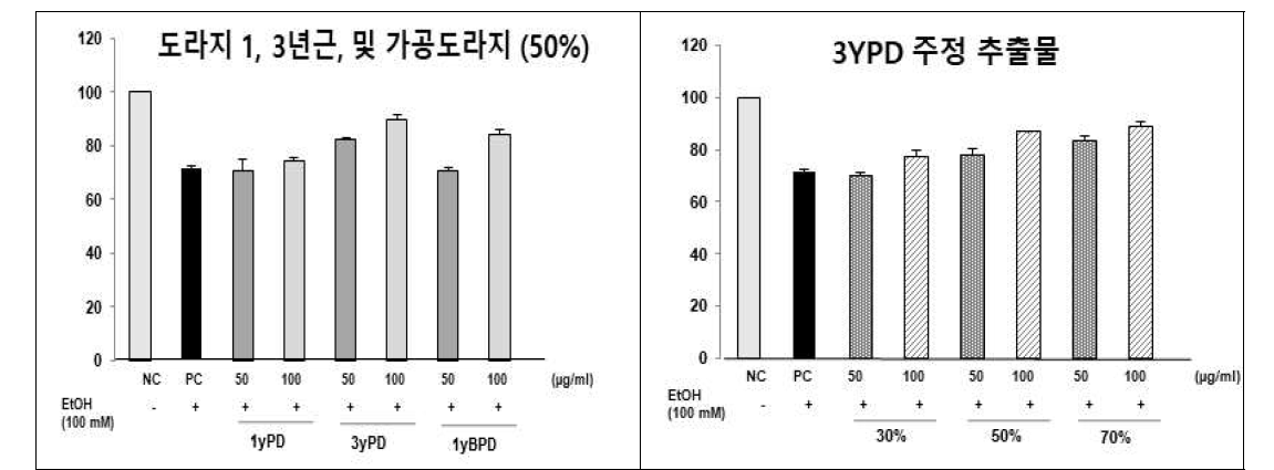 도라지 추출물의 알코올성 간손상 세포실험 결과