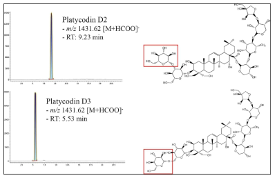 Platycodin D2 및 Platycodin D3의 UPLC-QTOF/MS 크로마토그램