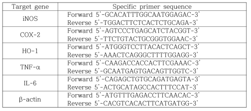 Primer pairs for RT-PCR