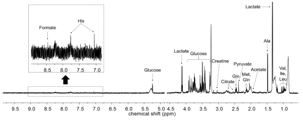 비글견 혈청의 600 MHz NMR 스펙트럼