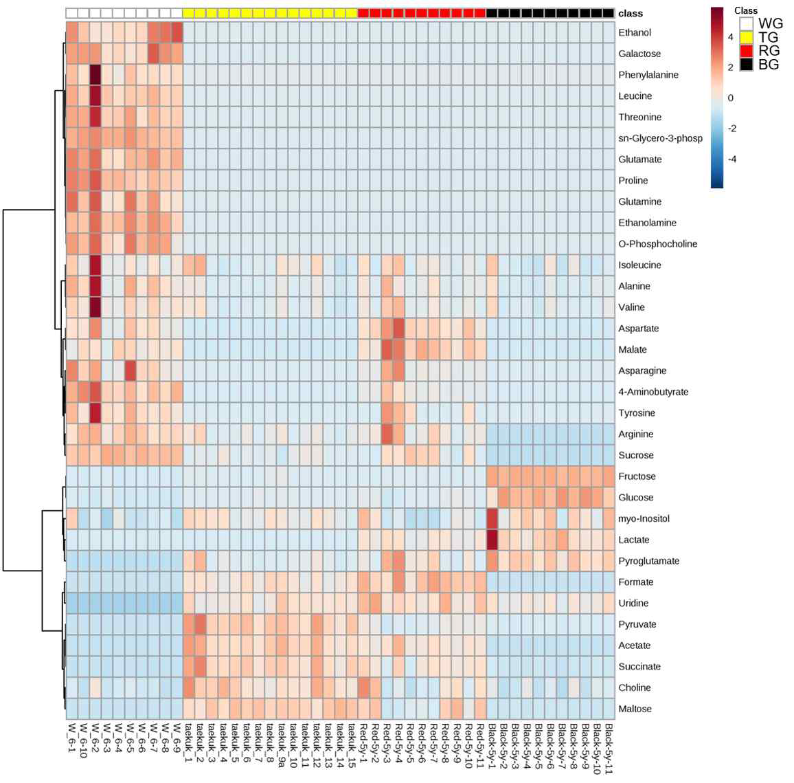 백삼, 태극삼, 홍삼, 흑삼 일차대사체의 heatmap 분석 결과