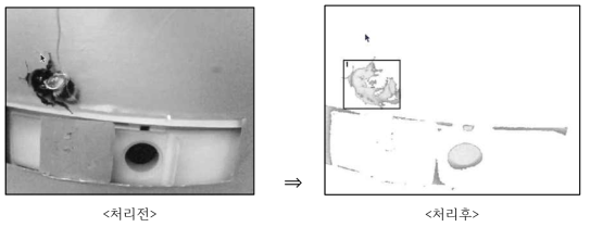 벌 검출 알고리즘 개발 (이미지)