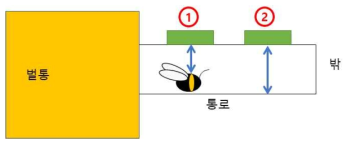 벌 검출 알고리즘 개발 (레이저 센서)