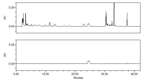 시험용액의 HPLC 크로마토그램 (280 nm) 및 직선성(검량선) 작성용 시험용액 (50 μg/ml; 희석한 표준용액)의 HPLC크로마토그램 (280 nm)