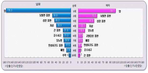 성별 사망원인 순위 [출처: 통계청, 2016]