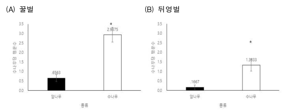 시간당 화분매객곤충별 암 수 꽃 방문비율 1) 조사기간: 2018.5.14.-16. 2) 조사방법: - 매시간 암나무 수나무에 방화활동하는 벌의 수 3) 통계분석: T-test - 꿀벌 방화활동: t 62 = -5.281, p = 0.0001; 뒤영벌: t 22 = 3.540, p = 0.002