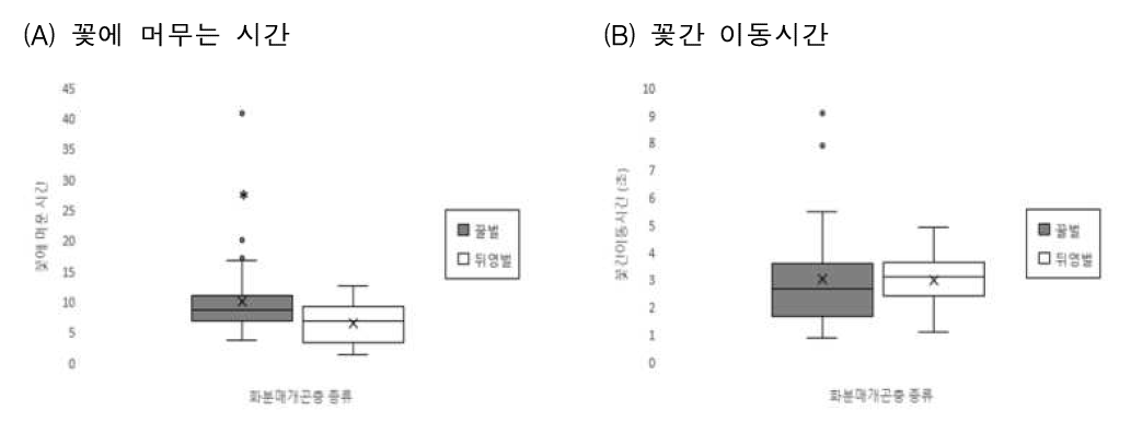 키위 꽃에서 화분매개곤충별 방화특성 1) 조사기간: 2018.5.14.-16. 2) 조사방법: - 꽃에 머무는 시간: 곤충이 꽃에 앉아 화분매개하는 시간 측정 - 꽃간이동시간: 곤충이 꽃에서 꽃사이 이동하는 시간 - 조사표본 수: (A) 꿀벌 34개, 뒤영벌 22개, (B)꿀벌: 23개, 뒤영벌 13개 3) 통계분석: welch's T-test - 꽃에 머무는 시간: t 54 = 2.388, p = 0.020; 꽃간 이동시간: t 34 = 0.083, p = 0.935