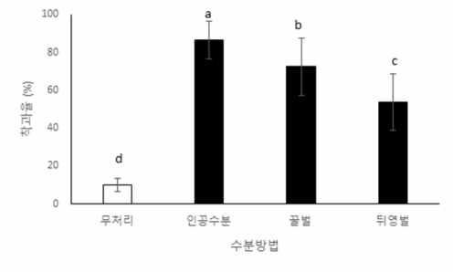 키위 꽃에서 수분방법별 착과율 비교 1) 조사기간: 2018.5.24. 2) 품종: 골드키위 3) 통계분석: T-test (A) 꿀벌: t 41 = -1.048, p = 0.301; (B) 뒤영벌: t 28 = -6.414, p = 0.0001