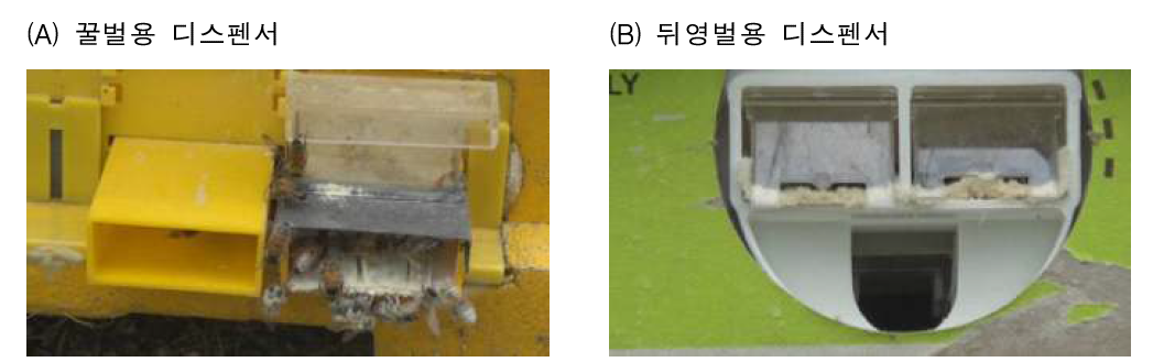 꿀벌 및 뒤영벌 Bee vector용 디스펜서 제작