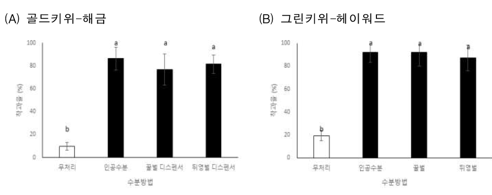 키위 품종별 Bee vectoring 효과 비교 1) 통계분석: (A) oneway ANOVA test, F 3,66 = 104.297, p=0.0001 (B) F 3,56 = 110.584, p=0.0001