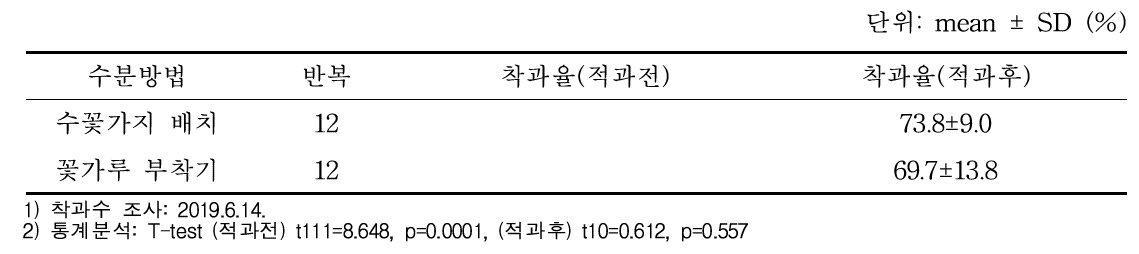 키위에서 수분방법별 착과율