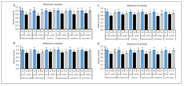 5xFAD 치매모델 쥐의 마이토콘드리아 콤플렉스1~4의 활성결과